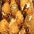 Kokosnuss Rezept, selber machen
