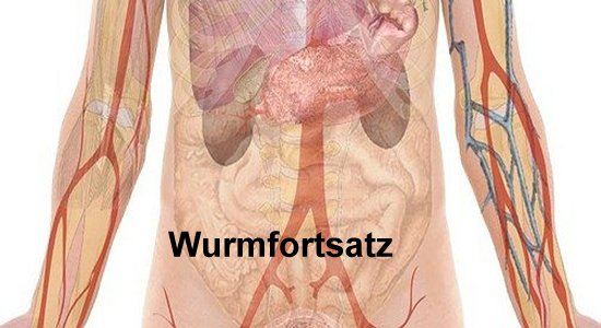 Wurmfortsatz